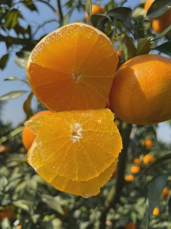 半生还好她没“黑化”EVO视讯名利场走过(图26) 半生还好她没“黑化”EVO视讯名利场走过(图26)